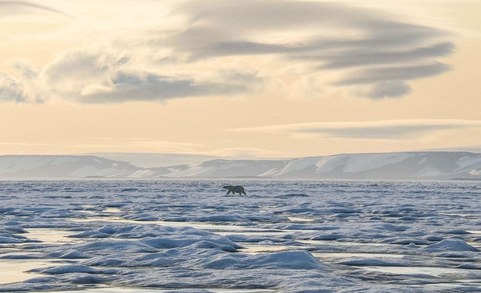 Expedition Svalbard 2024