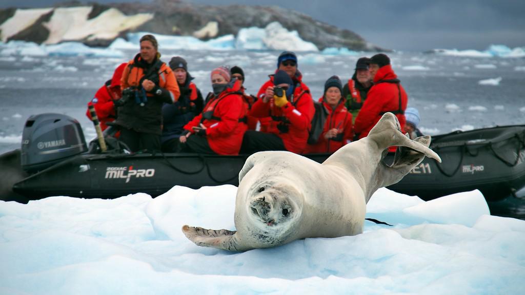 Crculo Polar: Viaje de Exploracin y Aprendizaje